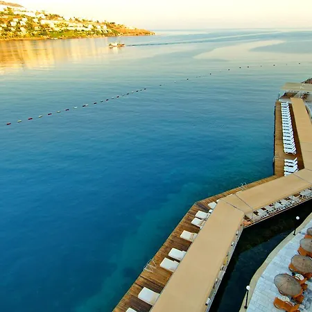 度假村 绿色海滩度假村